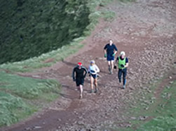 Its follow the leader!