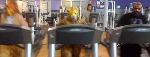 The speedy Mike Jones as a lion, Craig Horsfield as the Tiger and Farouk as the Gorilla